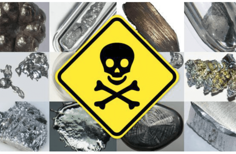 Take Control of Your Health at Home in Berlin – Know how Heavy Metals Affect You