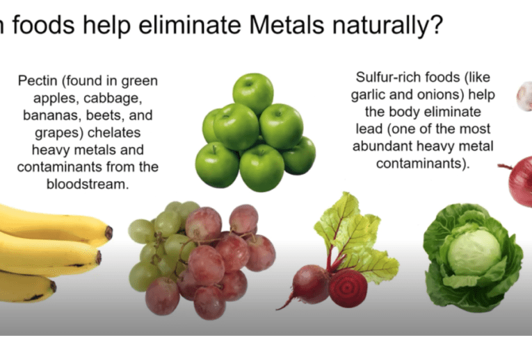 Eliminate Heavy Metals Naturally in Berlin